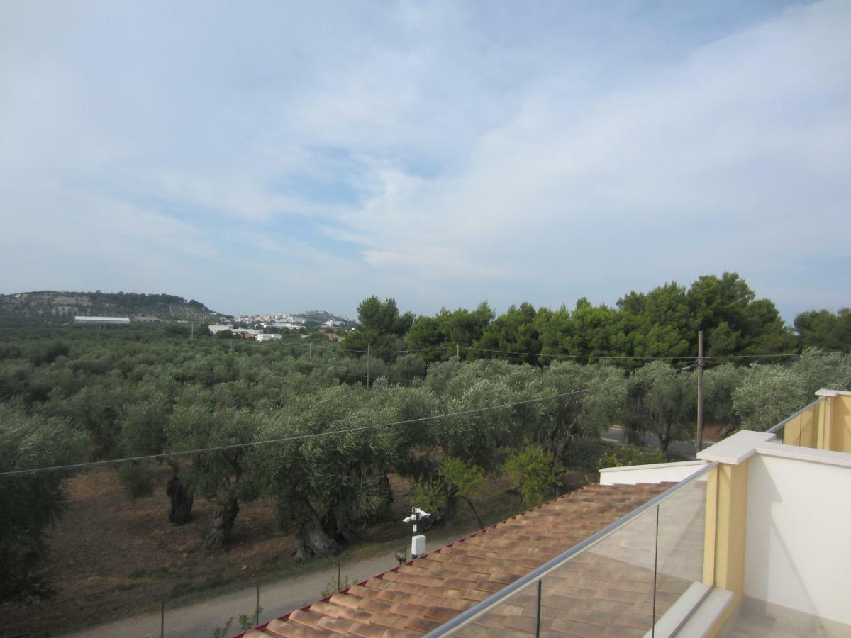 Elisa Apartment Vieste