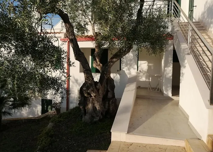 Villa Elisa