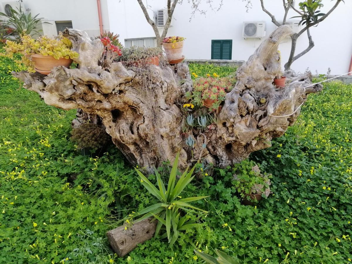 Elisa Appartement